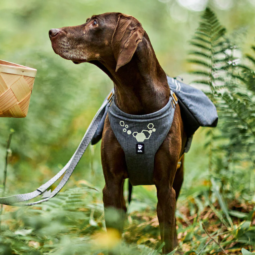 Tuotekuva 8